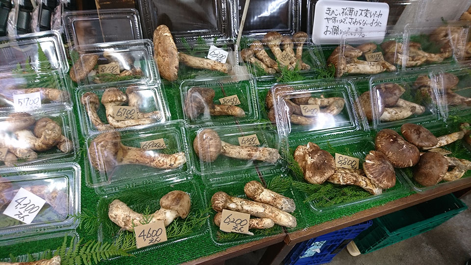 名古屋のバーチャルオフィスを離れドライブへ