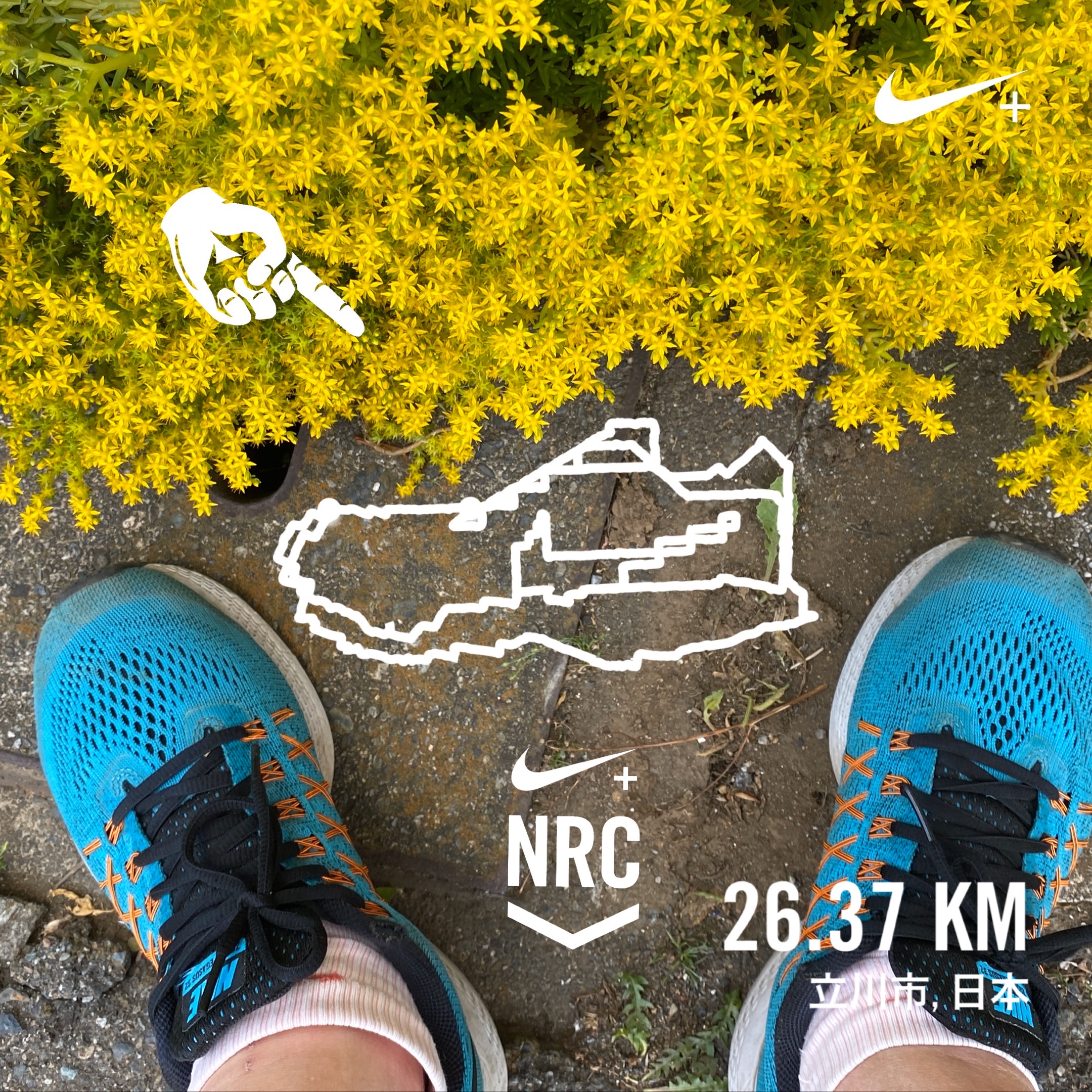 NIKE エアズーム ペガサス