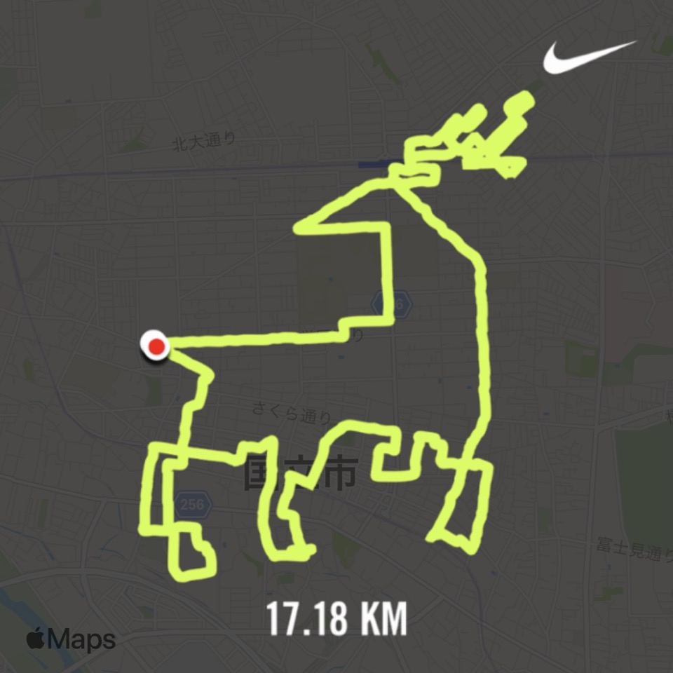 GPS art 「Xmasのトナカイ」